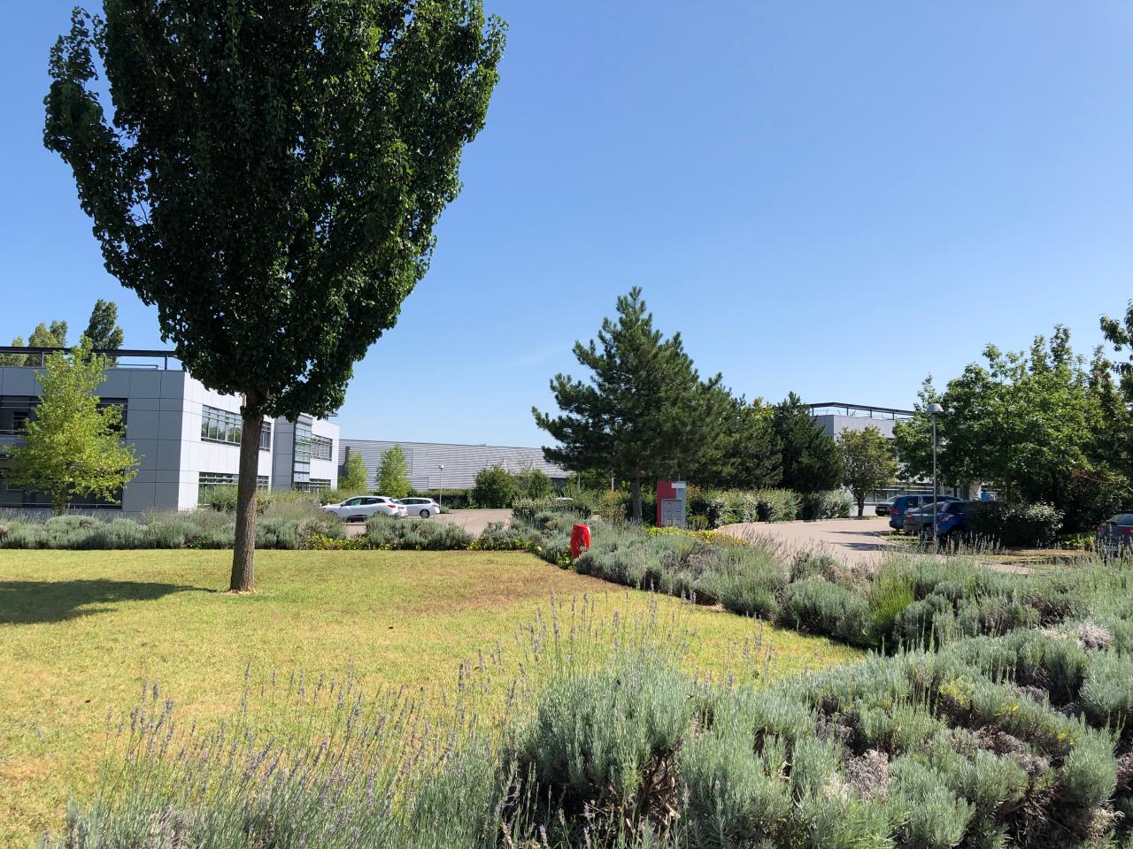 Bureau Saint-Priest 173m² Location bureau Saint-Priest Rhône OLBUR2108990 3